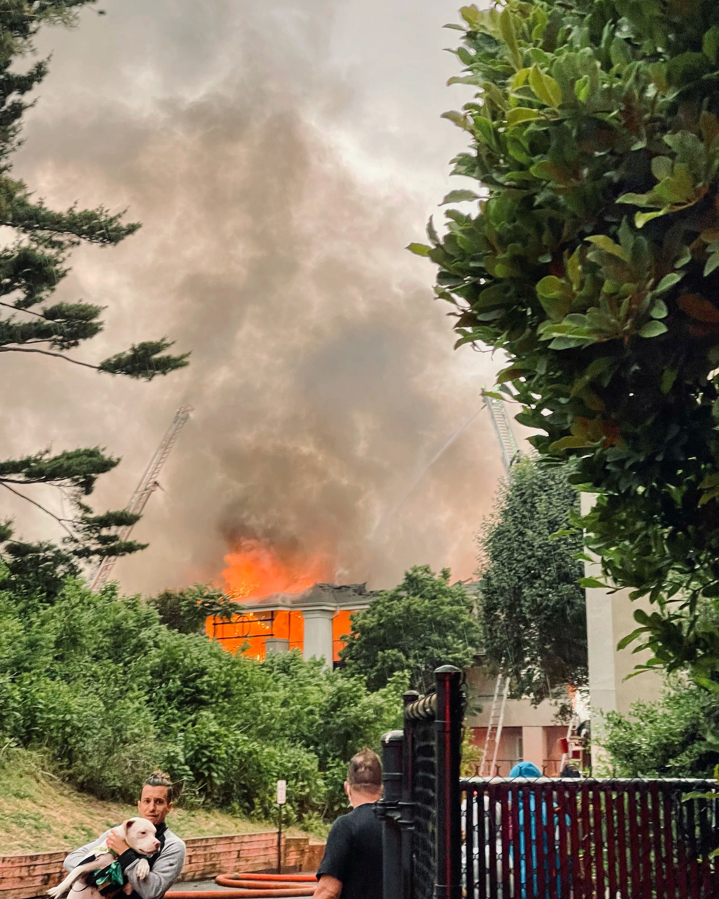  The evacuation 